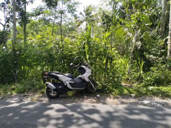 Dijual tanah pinggir jalan turgo pakem sleman murah 250 juta saja