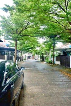 Rumah Asri Dalam Komplek Cicukang Cisaranten Arcamanik