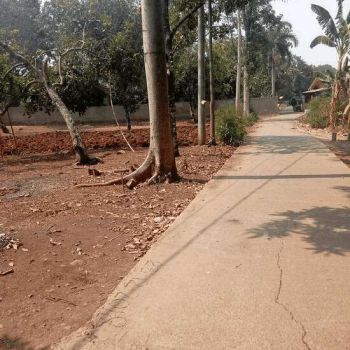 Lahan Di Daerah Cilengsi Bogor Jawa Barat