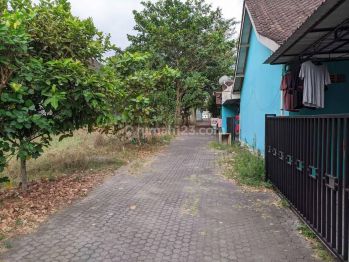 Harga Nego Dijual Tanah Plemburan Dekat Ugm