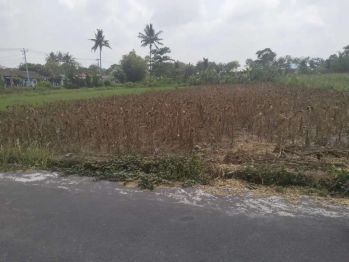 Disewakan tanah cocok untuk resto, coffeshop,villa di jl palagan km 9