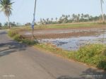 thumbnail-tanah-sawah-dikemiri-kabtangerang-8