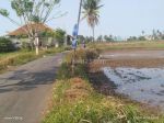 thumbnail-tanah-sawah-dikemiri-kabtangerang-2