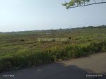 thumbnail-tanah-sawah-dikemiri-kabtangerang-7