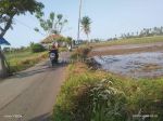 thumbnail-tanah-sawah-dikemiri-kabtangerang-1