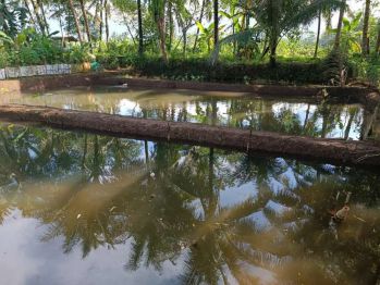KOLAM IKAN BEJI. KEDUNGBANGTENG