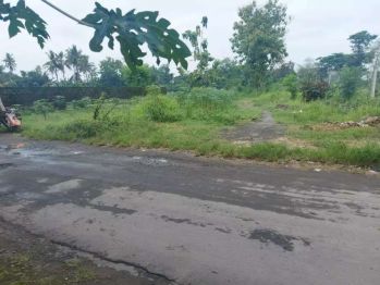 Jual Murah Pekarangan Berbah