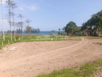 Hot List Di Jual Tanah Loss Pantai View Laut Lokasi Pering Blahbatuh Gianyar