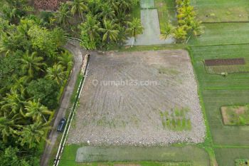 Selangkah Ke Bandara Yia View Sawah Cocok Untuk Hunian