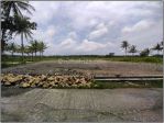 thumbnail-selangkah-ke-bandara-yia-view-sawah-cocok-untuk-hunian-2