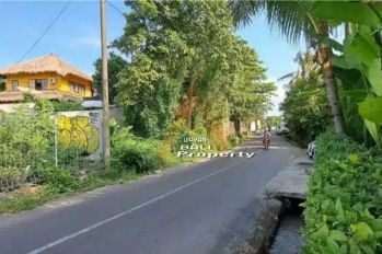 UMALAS | 500m2 MURAH | Tanah Pinggir Jalan Dekat Ke Canggu , Kerobokan