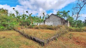 Tanah, Land 300m2 For Sale Free A House Bukit Area Ungasan, Bali