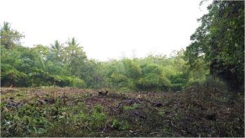 Tanah Murah Jogja di Moyudan Dekat Pasar Ngijon, 1 Jt-an