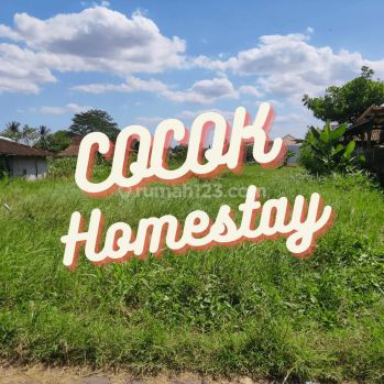 Homestay Dekat Ugm, Tanah Utara Jl Damai