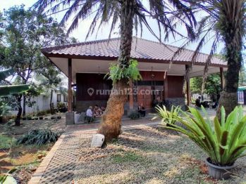 Rumah 1 Lantai Halaman Super Luas di Tapos Depok