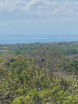 Dijual tanah view laut kawasan jimbaran kuta badung bali