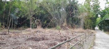 Sell Tanah: Tanah pekarangan