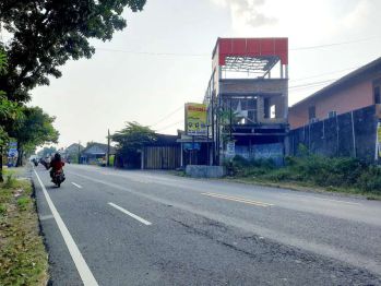 Dijual Tanah Dan Bangunan Sarang Burung Sriti Sejenis Burung Walet