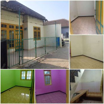 rumah dikontrakkan di jalan ikan dekat kampus asia