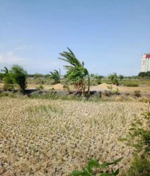 Dijual tanah di Mulyorejo Surabaya