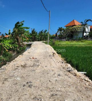 Di sewakan leashold jangka panjang tanah murah cemagi bali