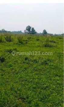 Tanah Cocok Untuk Perumahan Lokasi Di Curug Tangerang