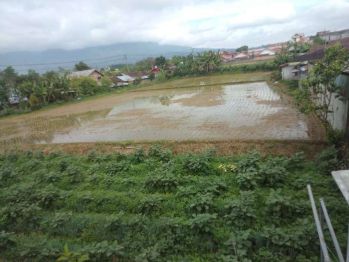 Dijual Tanah Sawah dan 1 Unit Ruko Kecamatan Banuhampu Sumatera Barat