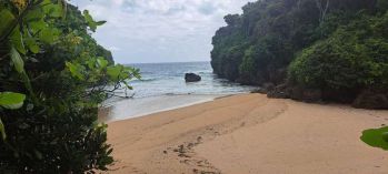 Dijual Murah Tanah Loss Pantai Kadonga Halaiyo Sumba Barat Daya NTT