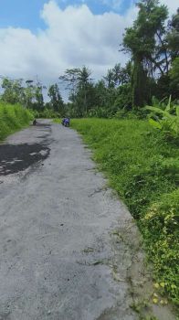 Di jual tanah kawasan Berkembang Ubud