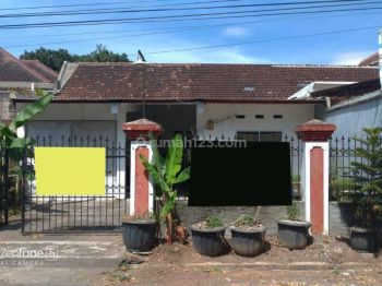 Rumah 9 Kamar Dijual di Daerah Sumbersari Malang Gmk02096
