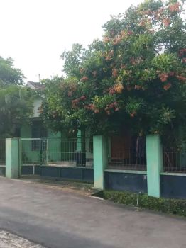 Dijual Tanah Bonus Rumah Utara Toll L: 487m