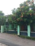 thumbnail-dijual-tanah-bonus-rumah-utara-toll-l-487m-0