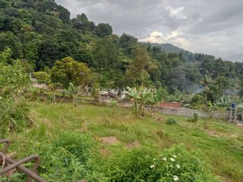 Viu Gunung Top Buat Villa Mdpl 900