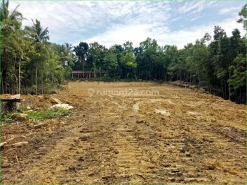 Promo Nataru 2023, Dekat Mercu Buana Jl Wates Jogja, Cocok Invest