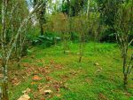 thumbnail-dijual-tanah-ubud-tegellalang-view-lembah-akses-masuk-jalan-beton-3