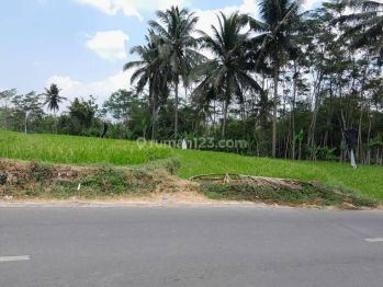 Tepi Jalan Aspal, Cocok Kost Pun Usaha Dekat Artos Magelang