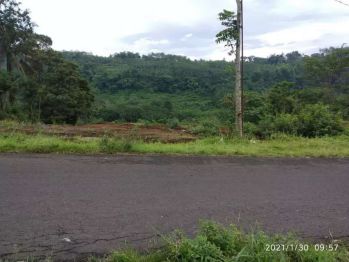 Dijual tanah shm 4815 m2 pinggir jalan