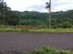 thumbnail-dijual-tanah-shm-4815-m2-pinggir-jalan-0