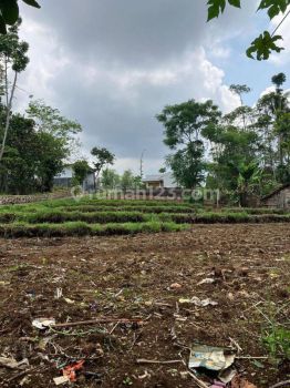 Murah Tanah Hook di Tanjungsari Cocok Untuk Cluster Perumahan