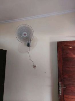 Rent Rumah Kosan: Indekos pria/wanita