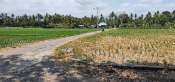 Dijual Tanah Pinggir Pantai.