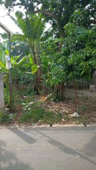 Tanah Dijual di Tangerang Selatan