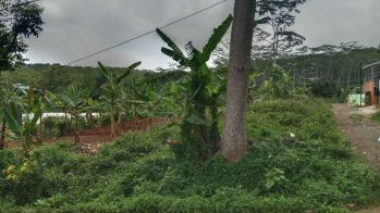 Tanah Cempakasari Timur Sekaran Gunungpati Dekat Kampus UNNES