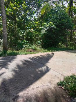 DIJUAL TANAH PERTANIAN DEAKT CALON UIN GUWOSARI MURAH MERIAH JK11468