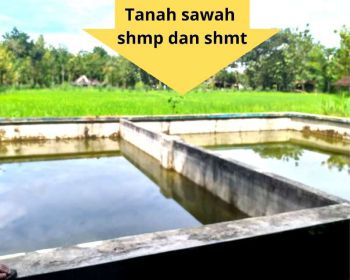TANAH SHMP VIEW CANTIK SAWAH SUBUR ADA KOLAM SHM