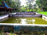 thumbnail-tanah-shmp-view-cantik-sawah-subur-ada-kolam-shm-2