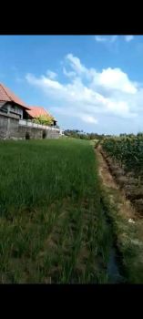 Jual tanah dekat pantai kedungu dkt Canggu,cemagi pererenan