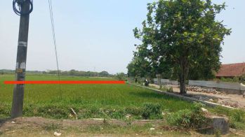 Tanah Pertanian Luas Murah di Wonosari Klaten (TY-NS)