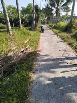 Agency sewa tanah murah mulia harga 5 juta jl kaliurang km 12