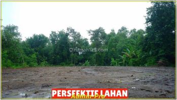 Jual Tanah di Jogja 100 Jtan di Moyudan Sleman